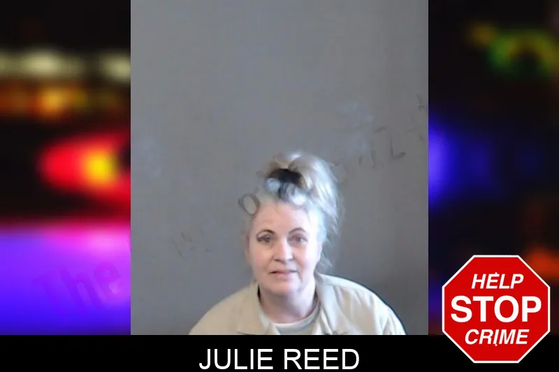 Julie Reed mugshot – DeKalb County , Georgia Julie Reed mugshot