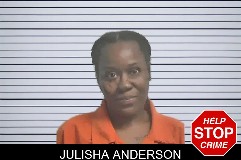 Julisha Anderson mugshot