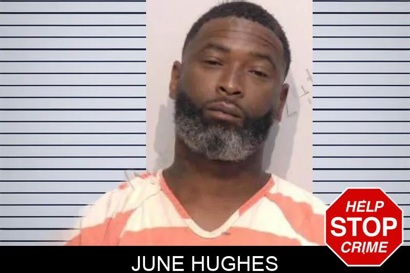 June Hughes mugshot – Bartow County , Georgia June Hughes mugshot