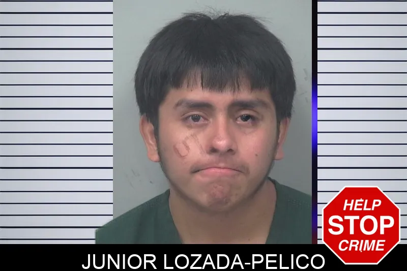 Junior Lozada-Pelico mugshot – Gwinnett County , Georgia Junior Lozada-Pelico mugshot