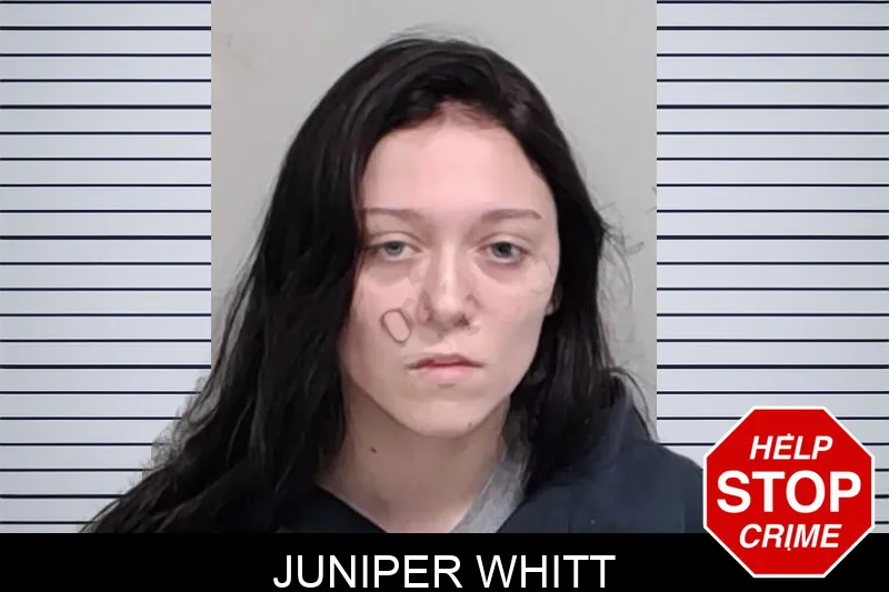 Juniper Whitt mugshot – Lowndes County , Georgia Juniper Whitt mugshot