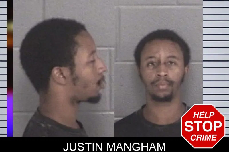 Justin Mangham mugshot – Barrow County , Georgia Justin Mangham mugshot