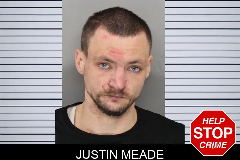 Justin Meade mugshot – Cobb County , Georgia Justin Meade mugshot