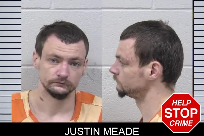 Justin Meade mugshot – Paulding County , Georgia Justin Meade mugshot