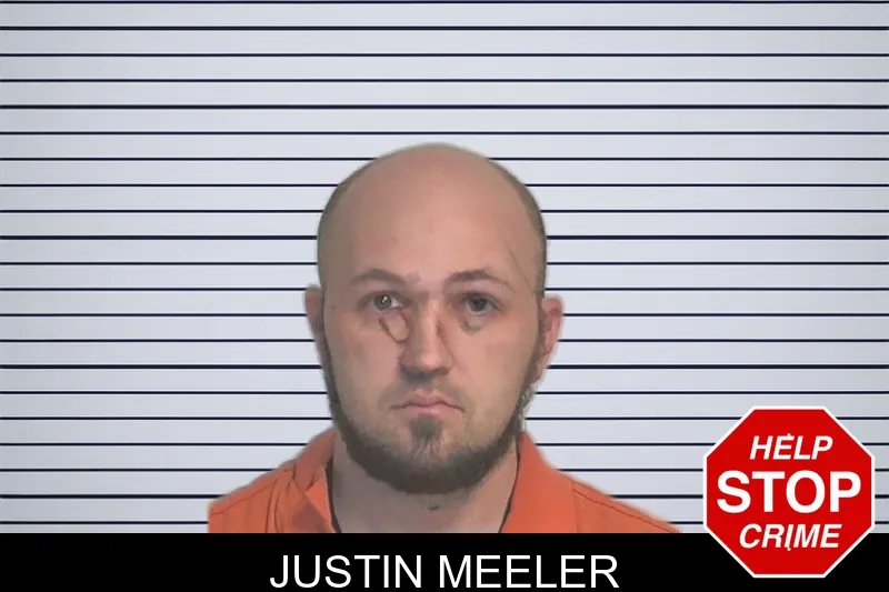 Justin Meeler mugshot – Berrien County , Georgia Justin Meeler mugshot