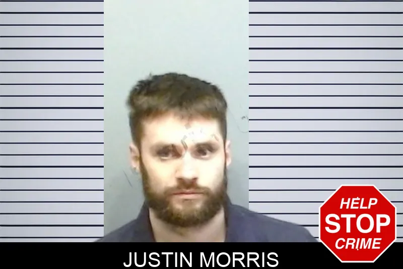 Justin Morris mugshot – Fulton County , Georgia Justin Morris mugshot
