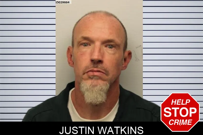 Justin Watkins mugshot – Chatham County , Georgia Justin Watkins mugshot