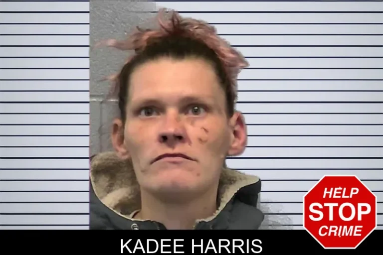 Kadee Harris mugshot – Ware County , Georgia Kadee Harris