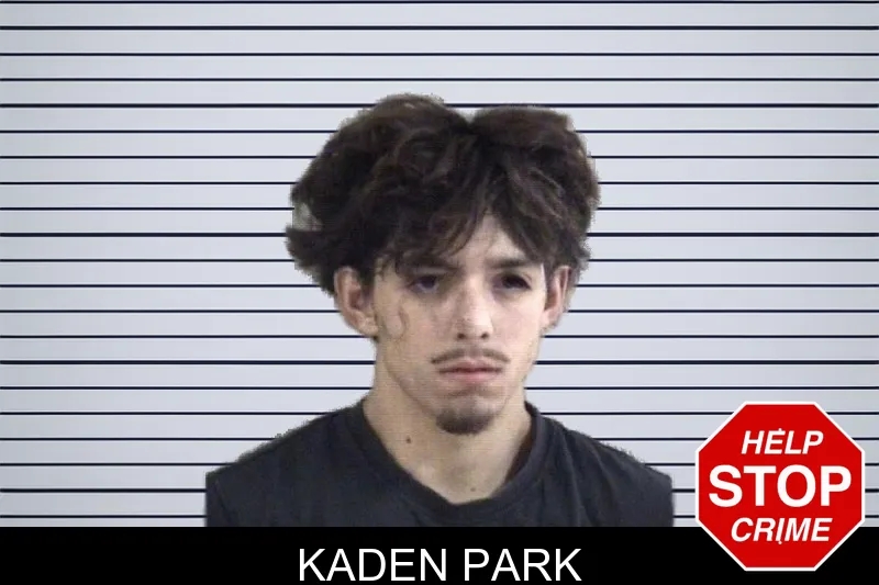 Kaden Park mugshot – Whitfield County , Georgia Kaden Park mugshot