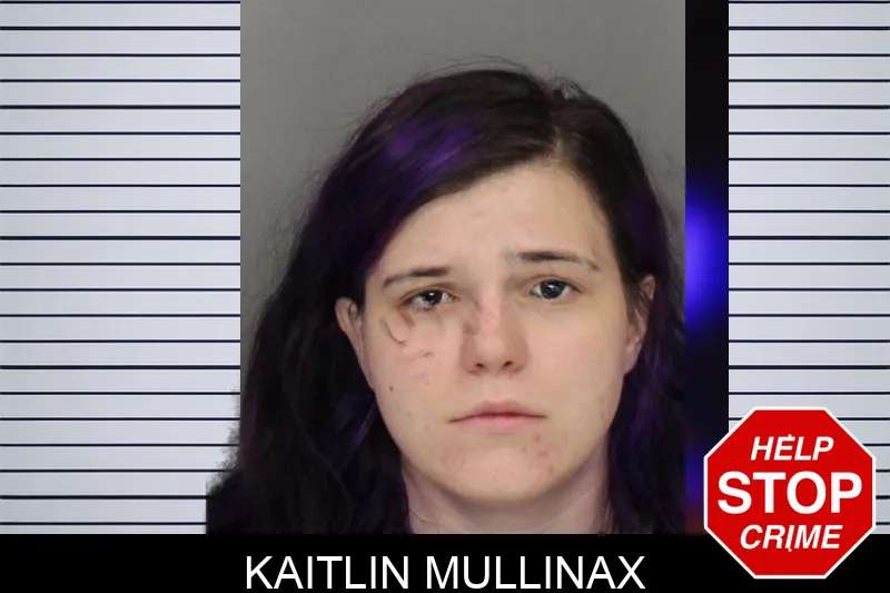 Kaitlin Mullinax mugshot – Cobb County , Georgia Kaitlin Mullinax mugshot
