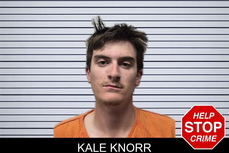 Kale Knorr mugshot – Dade County , Georgia Kale Knorr mugshot