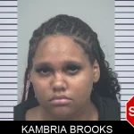 Kambria Brooks mugshot – Gwinnett County , Georgia Kambria Brooks mugshot