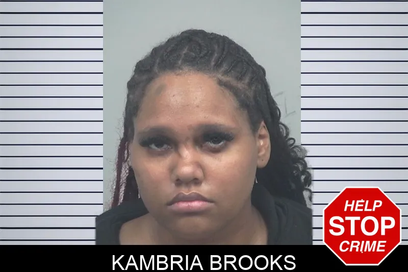 Kambria Brooks mugshot – Gwinnett County , Georgia Kambria Brooks mugshot