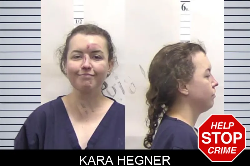 Kara Hegner mugshot – Clarke County , Georgia Kara Hegner mugshot