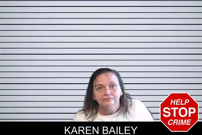 Karen Bailey mugshot