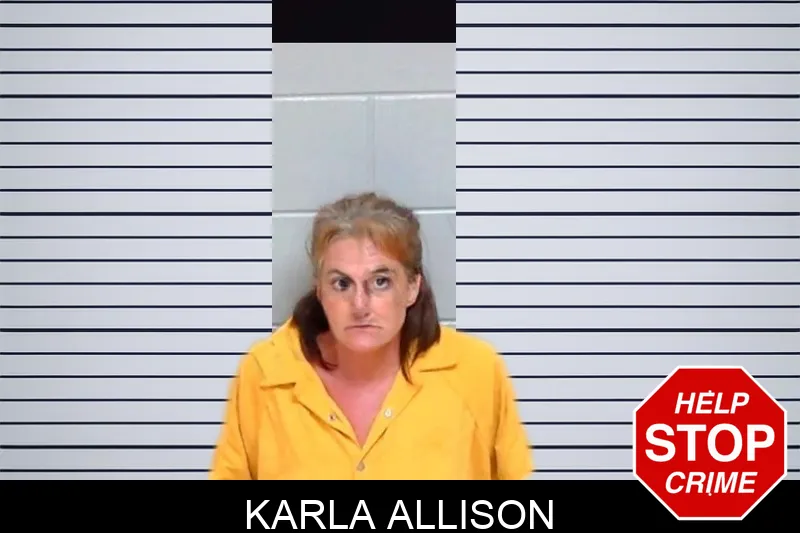 Karla Allison mugshot – Morgan County , Georgia Karla Allison mugshot