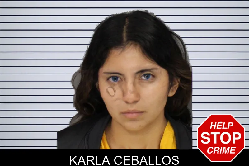 Karla Ceballos mugshot
