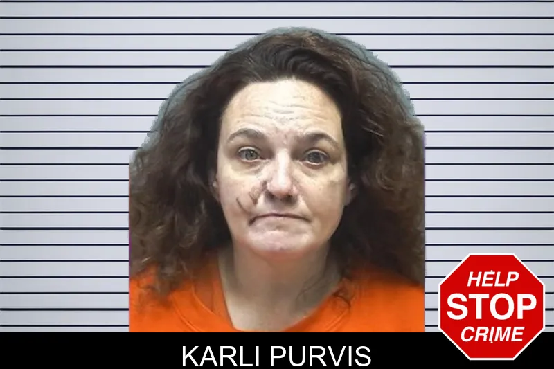 Karli Purvis mugshot