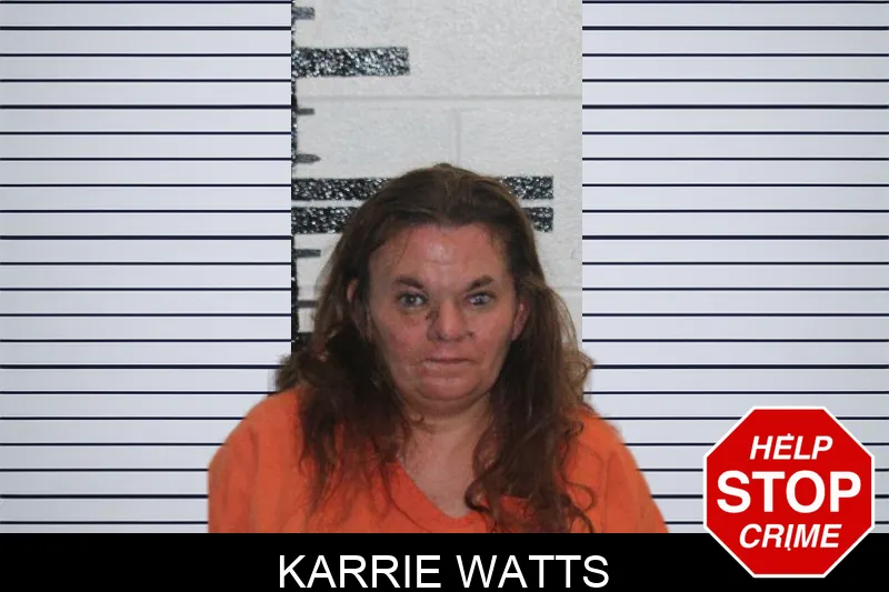 Karrie Watts mugshot – Murray County , Georgia Karrie Watts mugshot