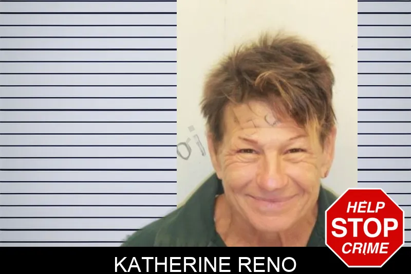 Katherine Reno mugshot – Chatham County , Georgia Katherine Reno mugshot