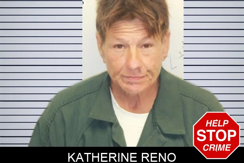 Katherine Reno mugshot – Chatham County , Georgia Katherine Reno mugshot
