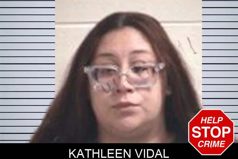 Kathleen Vidal mugshot – Henry County , Georgia Kathleen Vidal mugshot