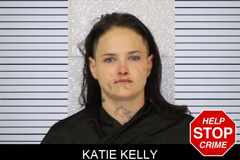Katie Kelly mugshot – Carroll County , Georgia Katie Kelly mugshot