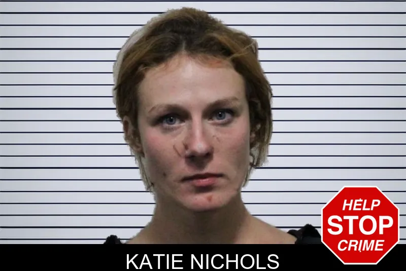 Katie Nichols mugshot