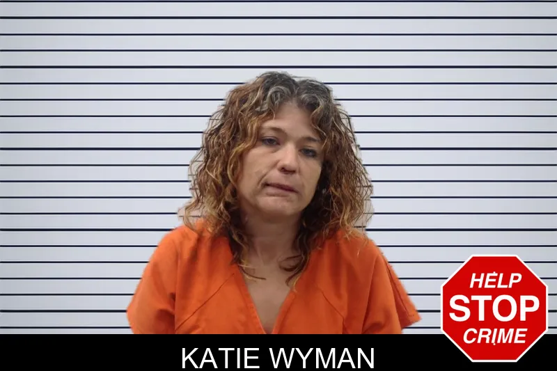Katie Wyman mugshot – Pickens County , Georgia Katie Wyman mugshot