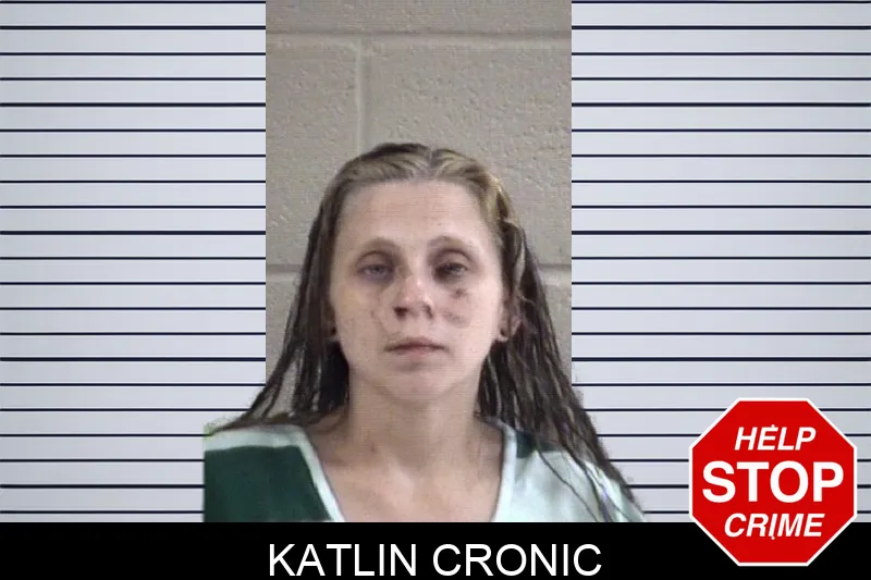 Katlin Cronic mugshot – Whitfield County , Georgia Katlin Cronic mugshot