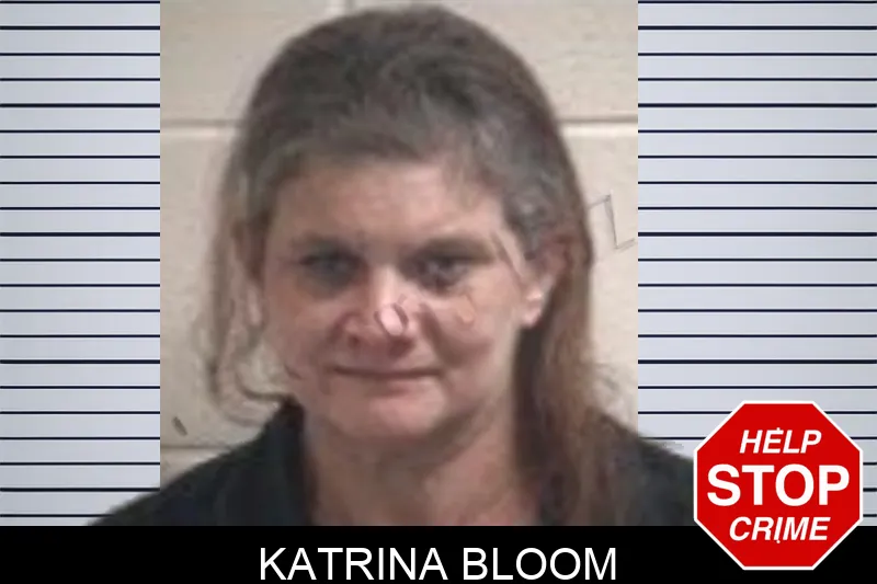 Katrina Bloom mugshot – Henry County , Georgia Katrina Bloom mugshot