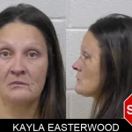 Kayla Easterwood mugshot – Paulding County , Georgia Kayla Easterwood mugshot