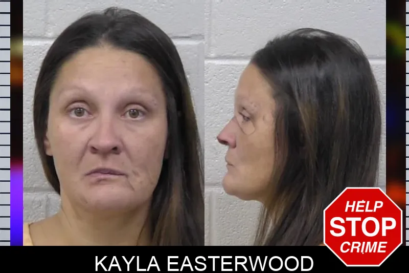 Kayla Easterwood mugshot – Paulding County , Georgia Kayla Easterwood mugshot