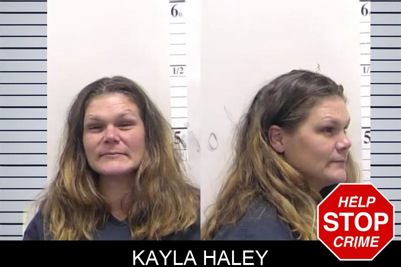 Kayla Haley mugshot