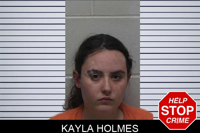 Kayla Holmes mugshot – Laurens County , Georgia Kayla Holmes mugshot