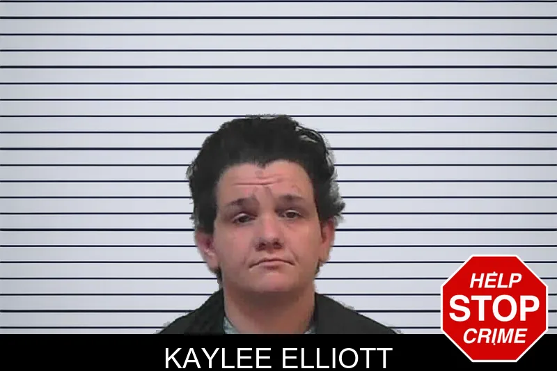 Kaylee Elliott mugshot – Butts County , Georgia Kaylee Elliott mugshot