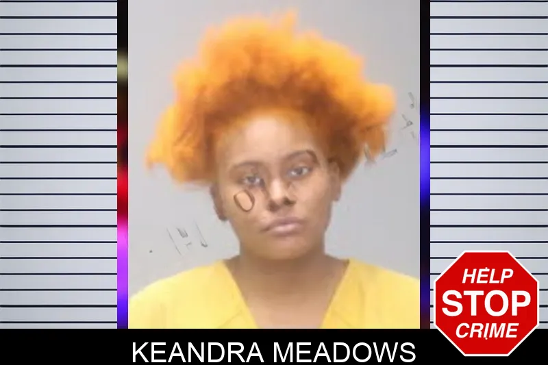 Keandra Meadows mugshot – Muscogee County , Georgia Keandra Meadows mugshot