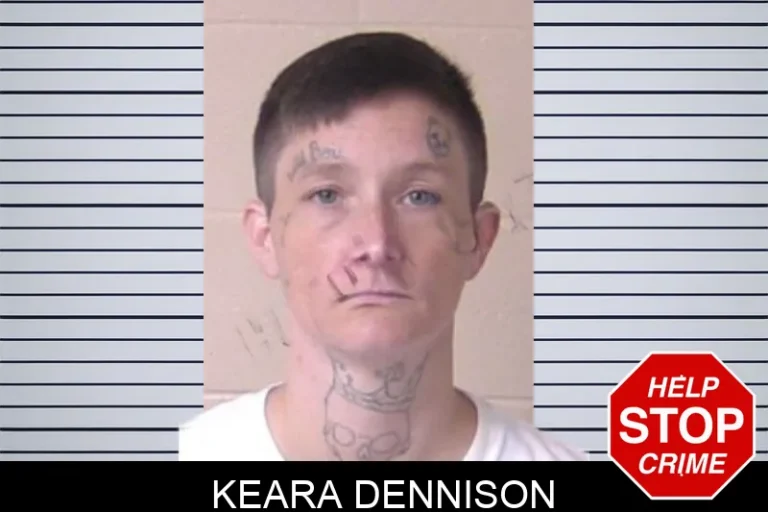 Keara Dennison mugshot – Walker County , Georgia Keara Dennison