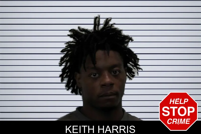 Keith Harris mugshot – Pierce County , Georgia Keith Harris mugshot