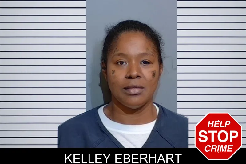 Kelley Eberhart mugshot – Glynn County , Georgia Kelley Eberhart mugshot