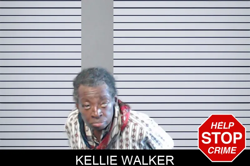 Kellie Walker mugshot – DeKalb County , Georgia Kellie Walker mugshot