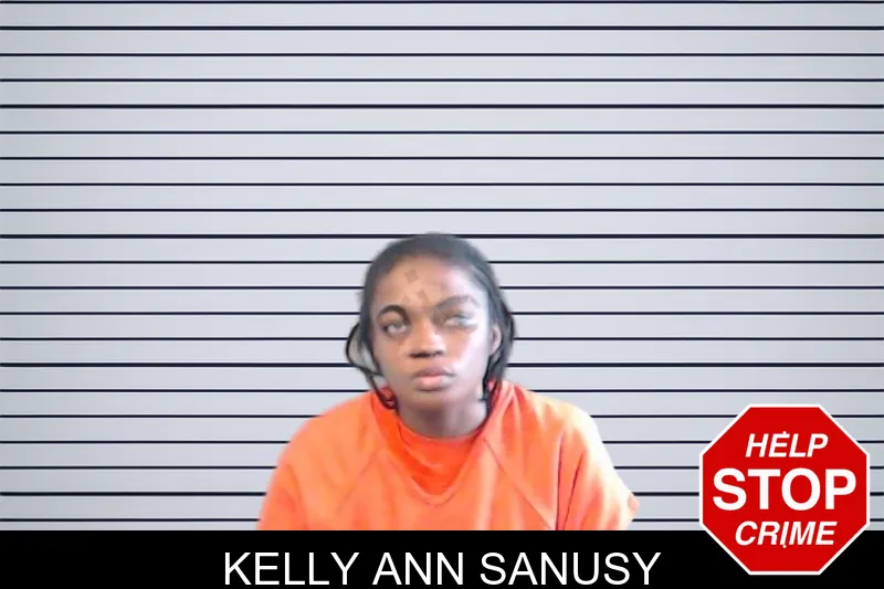 Kelly Ann Sanusy mugshot