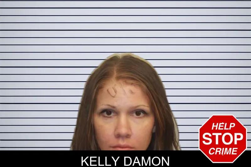 Kelly Damon mugshot – Chatham County , Georgia Kelly Damon mugshot