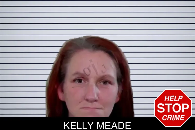 Kelly Meade mugshot