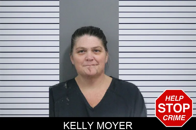 Kelly Moyer mugshot – Catoosa County , Georgia Kelly Moyer mugshot