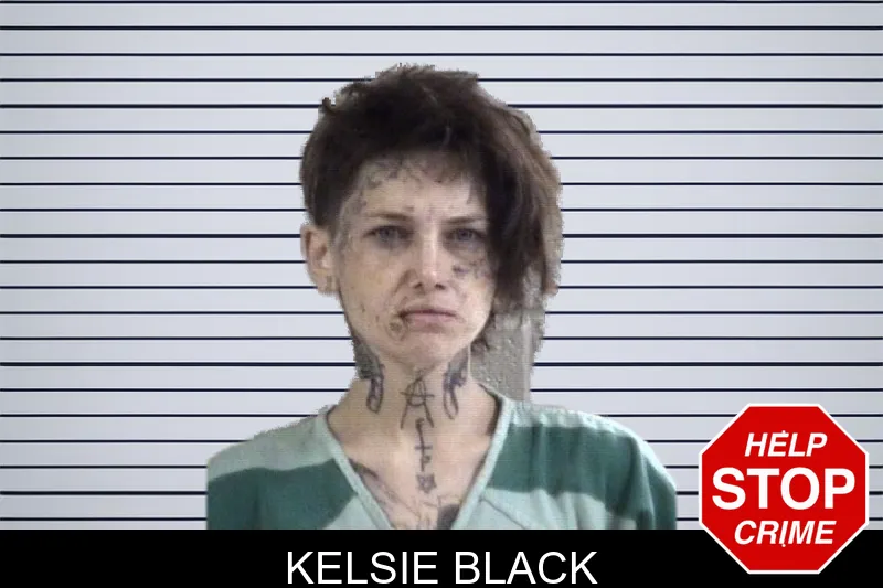Kelsie Black mugshot – Whitfield County , Georgia Kelsie Black mugshot