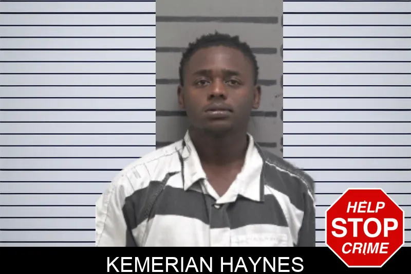 Kemerian Haynes mugshot – Dougherty County , Georgia Kemerian Haynes mugshot