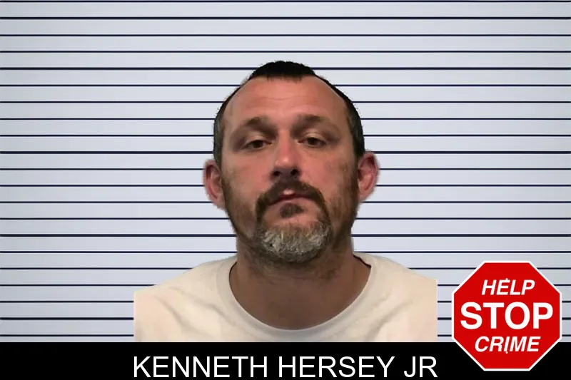 Kenneth Hersey Jr mugshot – Ware County , Georgia Kenneth Hersey Jr mugshot