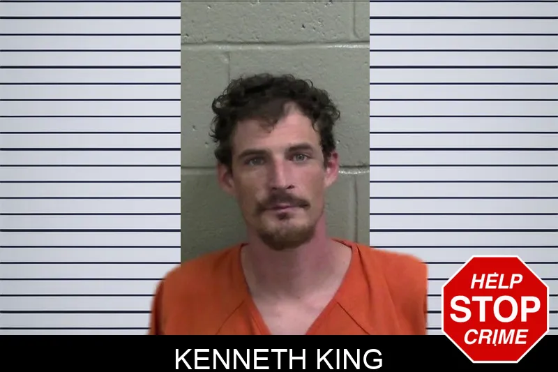 Kenneth King mugshot – Wayne County , Georgia Kenneth King mugshot