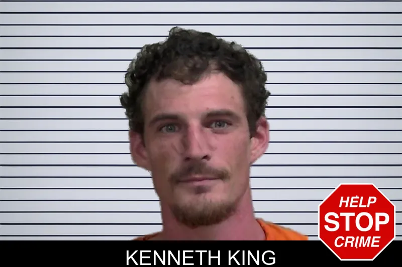 Kenneth King mugshot
